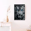 (Grande Taille) Tigre blanc avec des yeux bleus-partiel ab rond diamant peinture-40 * 60cm