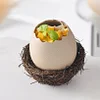 Eggshell Shaped Ceramic Bowl, Oval irregular Opening Tableware, Creative And Distinctive Restaurant Tableware