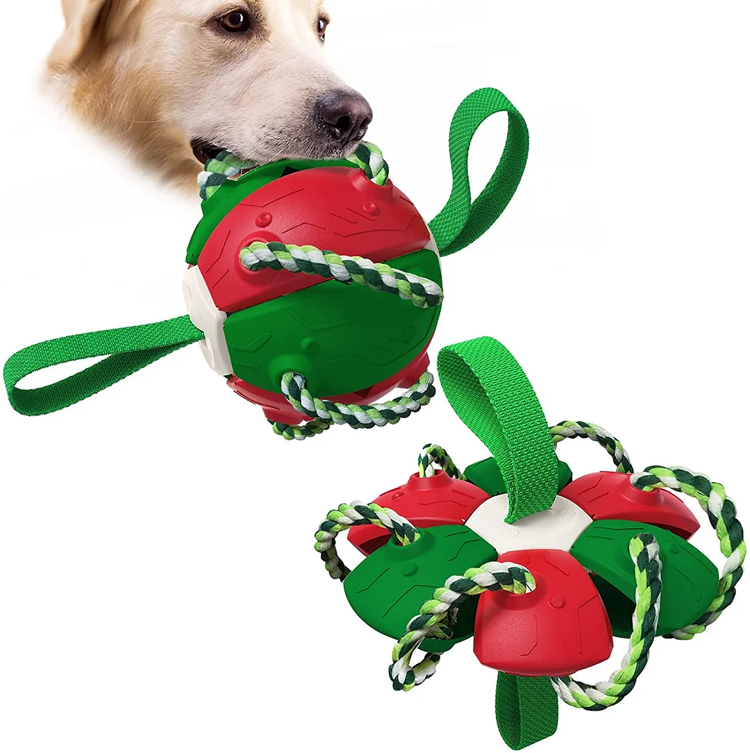 Frisbee football dog toy