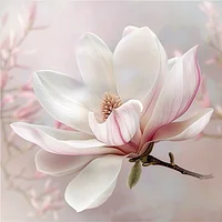 Elegant Magnolia Bloom - Diamond Painting