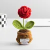 (Finished Product)Crochet Flower Potted Doll with Positive Card Desktop Ornaments, Potted Plants, Bouquets Gift Home Decor