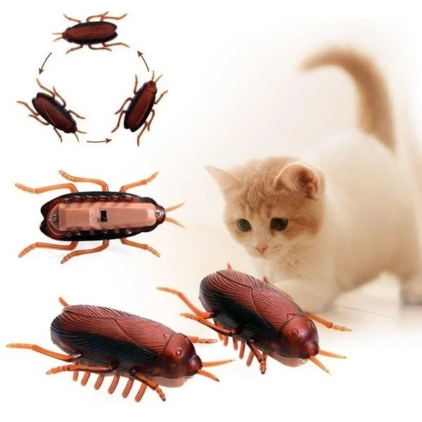 Funny Simulation of Cockroaches Pet Cat Dog Kitten Interactive Training Play Toy
