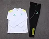 Joyfball 2025/2026 Juventus Half-Pull Training Suit White Football Shirt 1:1 Thai Quality
