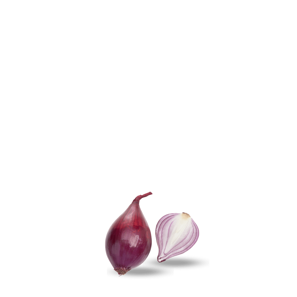 Shallot Onion Seeds &ndash; Lunga di Firenze | Sweet, Elongated Bulbs