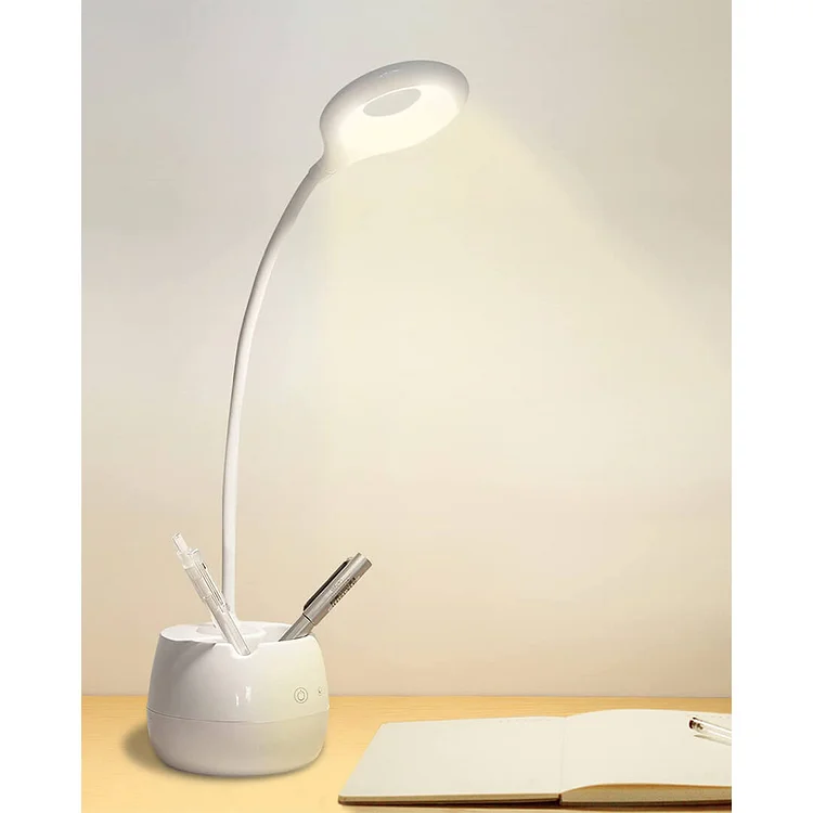 Maxesla LED Desk Lamp with Night Light.