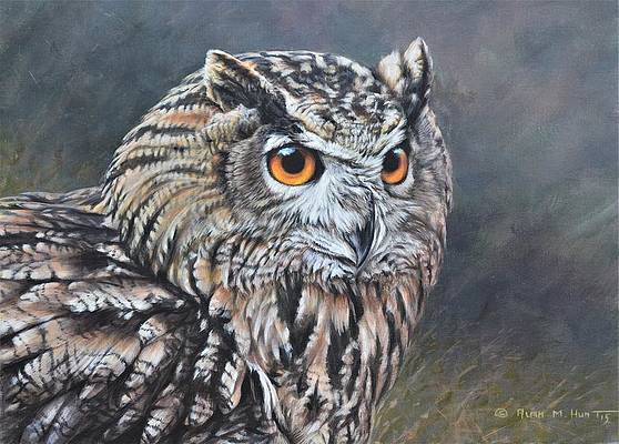 Owl 40*60CM(Canvas) Full Round Drill Diamond Painting gbfke