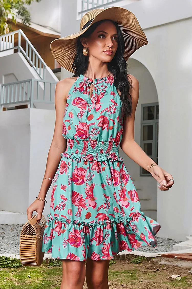 Luditu Mini Dress  Halter Sundress, Blue Red Rose