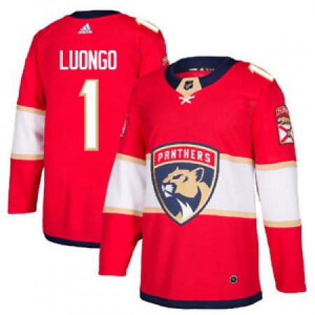 Men's  Florida Panthers #1 Roberto Luongo Red Stitched NHL Jersey