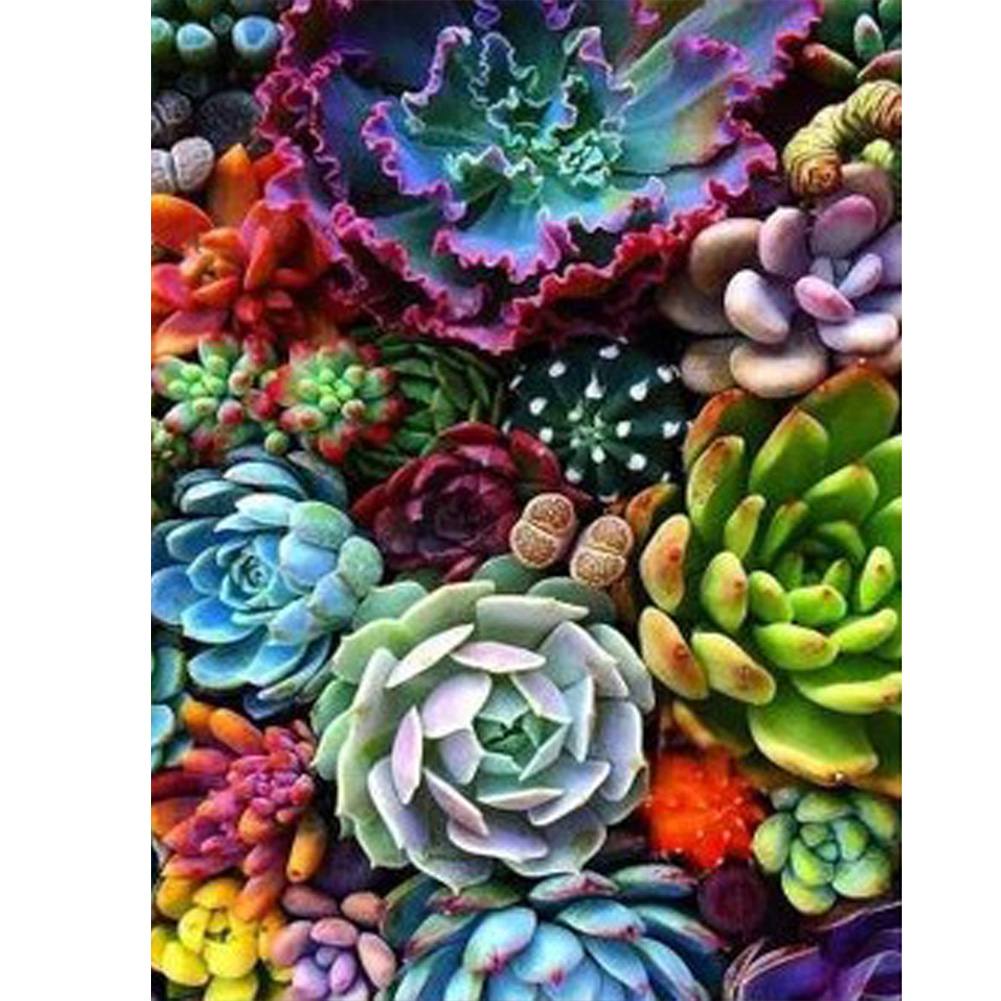 

30*40CM - Square Drill Diamond Painting - Succulents Plant, 501 Original