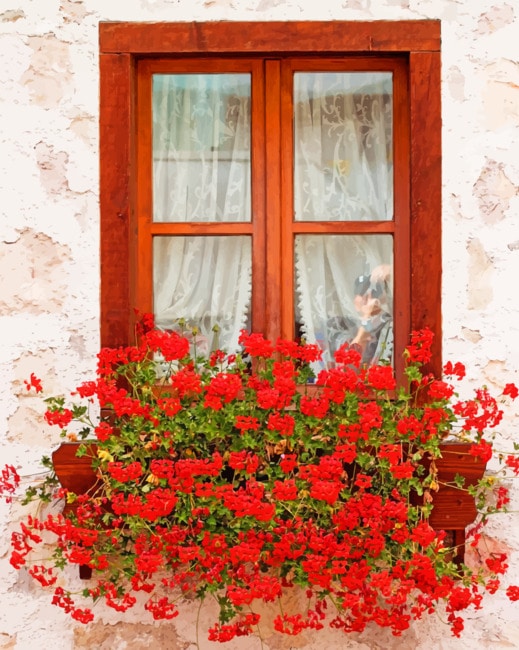 

Window Ledge Flowers – Paint By Numbers - 40*50CM, 501 Original
