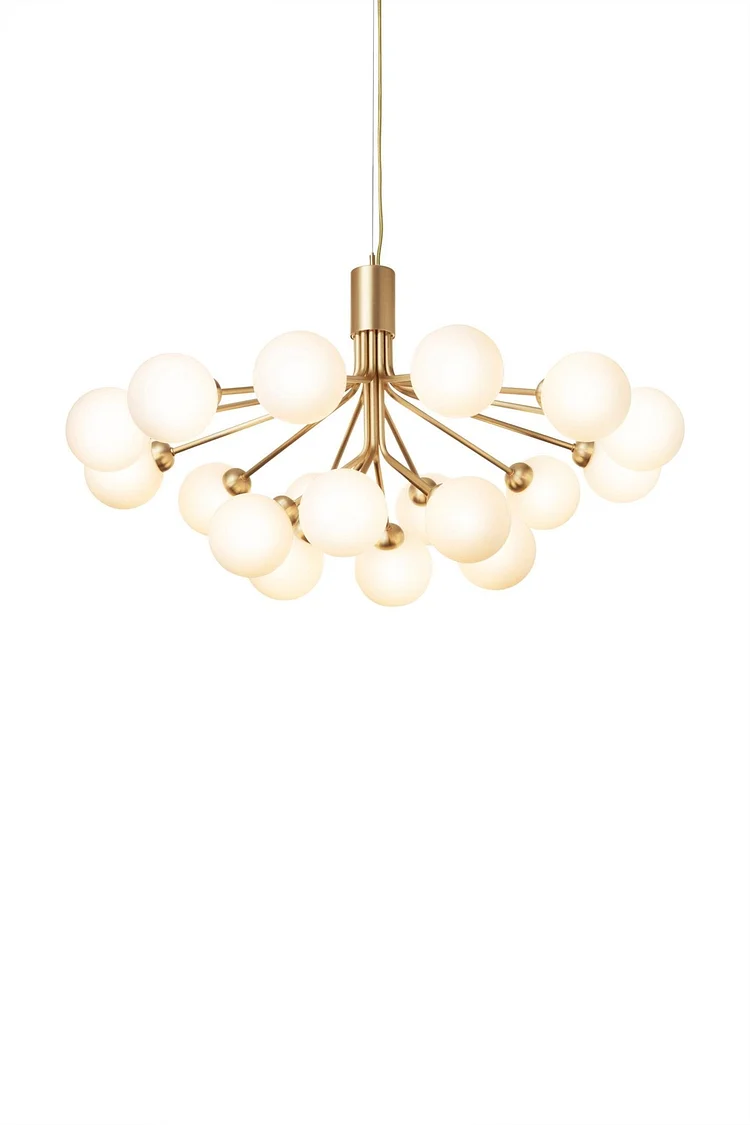 Apiales 18 Pendant