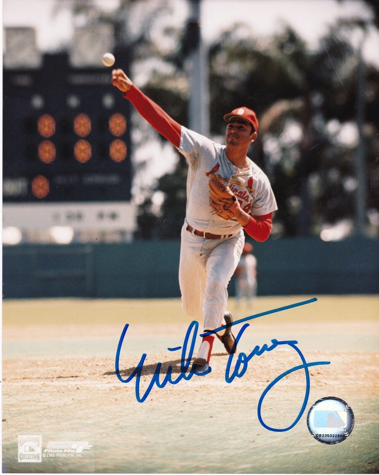 MIKE TORREZ ST. LOUIS CARDINALS ACTION SIGNED 8x10