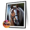 Cheval - Compl&egrave;te Rond Peinture au Diamant  30*40cm