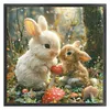 Two Rabbits-11CT Stamped Cross Stitch 40*40cm/15.75*15.75in tapestrymarket