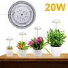 Full Spectrum Grow Lights Height Adjustable Plant Growing Lamp for Indoor Plants
