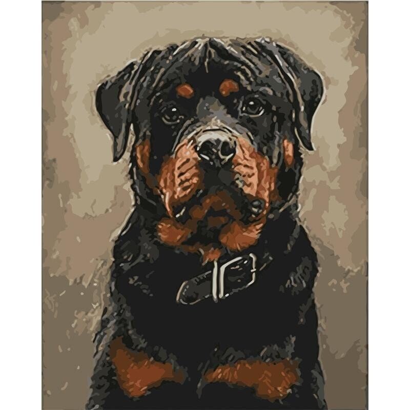 DIY Painting By Numbers | Animals black dog