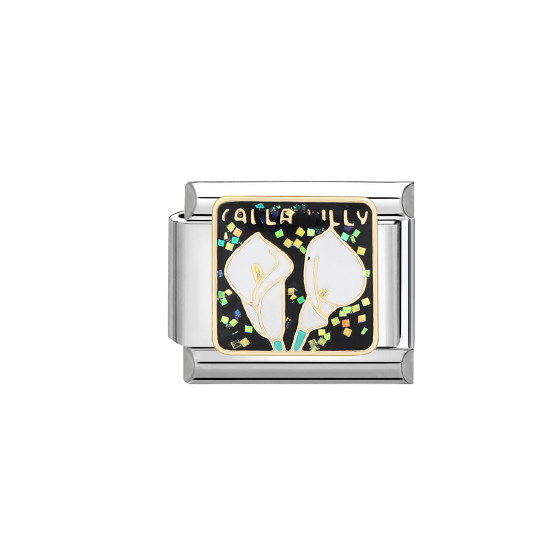 tulip(Flower)