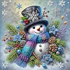 Snow Scene And Snowman-Partial Special Shaped Diamond Painting 30*30CM