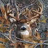 Deer-Full Square Diamond Painting 30*40CM