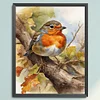 (US Only)Robin Printed Cross Stitch Kit 40x50cm DIY 11CT Embroidery Craft Set Home Decor