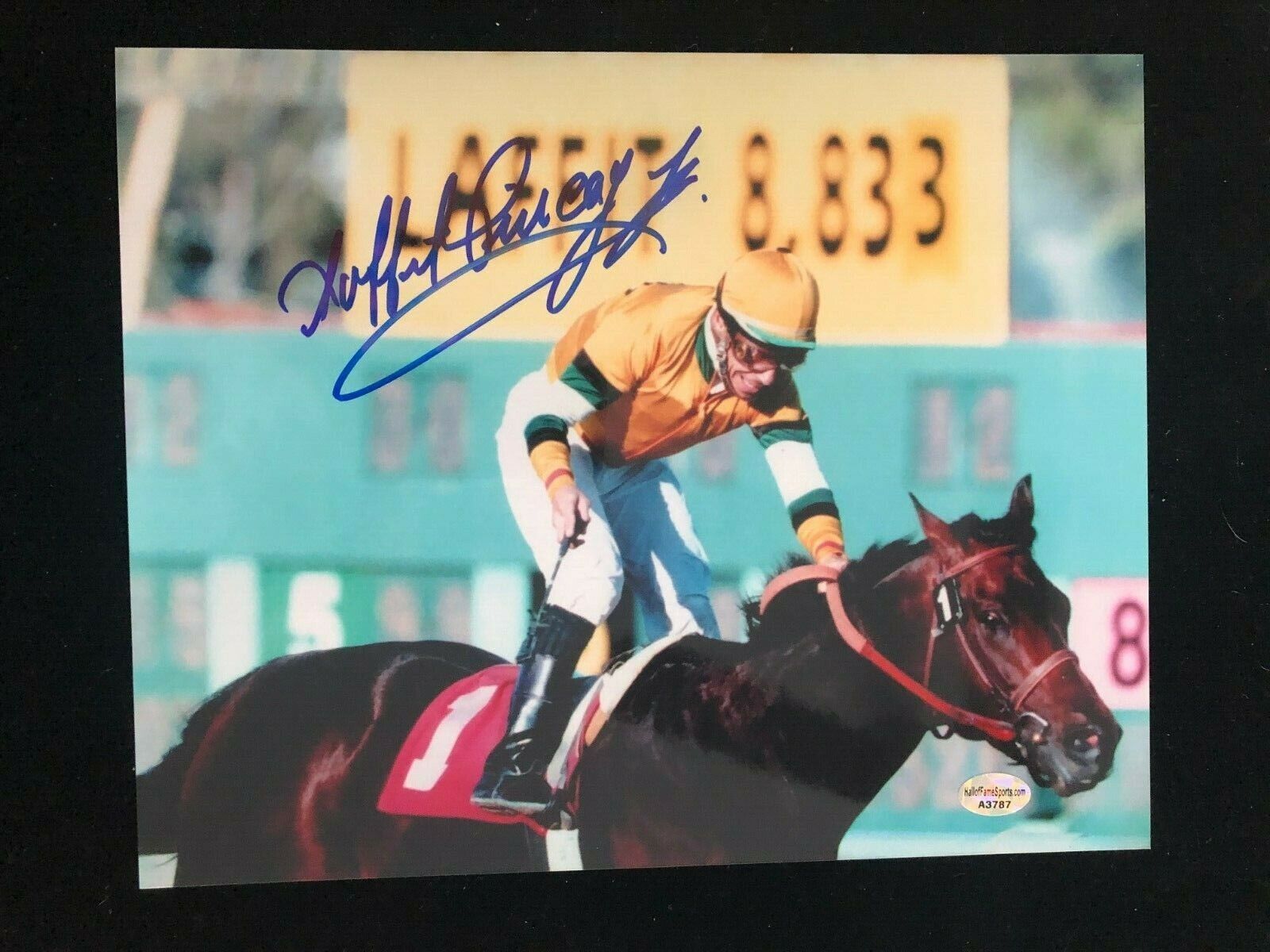 Laffit Pincay Signed Autographed Photo Poster painting - Record Breaker - 8833 Wins - COA