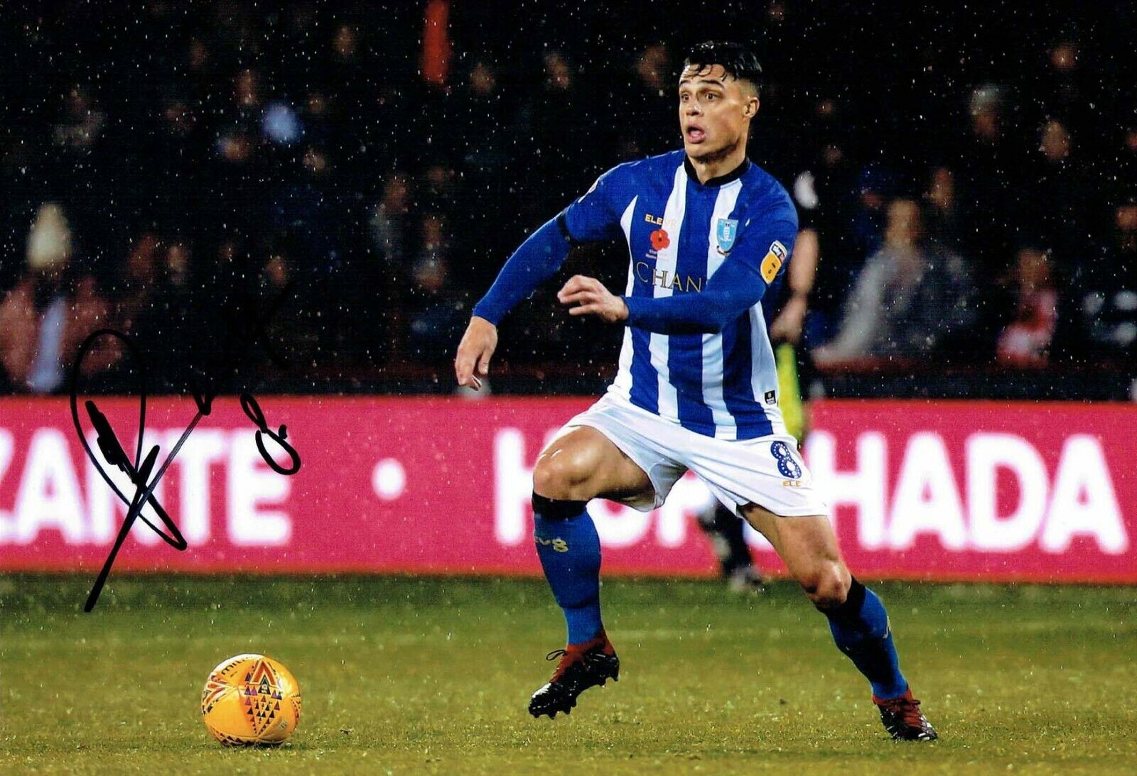 Joey PELUPESSY Sheffield Wednesday SWFC SIGNED 12x8 Photo Poster painting AFTAL COA OWLS