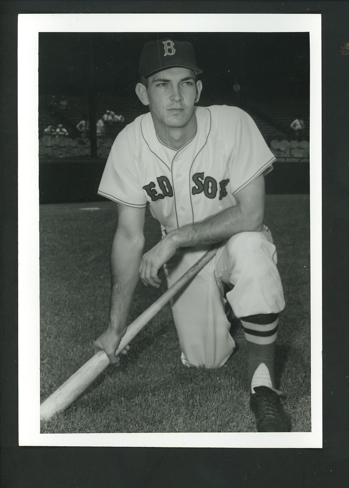 Don Buddin circa 1956 Press Original Photo Poster painting by Don Wingfield Boston Red Sox