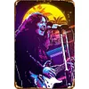 Rory Gallagher - Vintage Metal Signs(8*12Inch)
