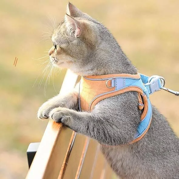 Cat Vest Harness and Leash Set - Escape Proof For Outdoor Walking