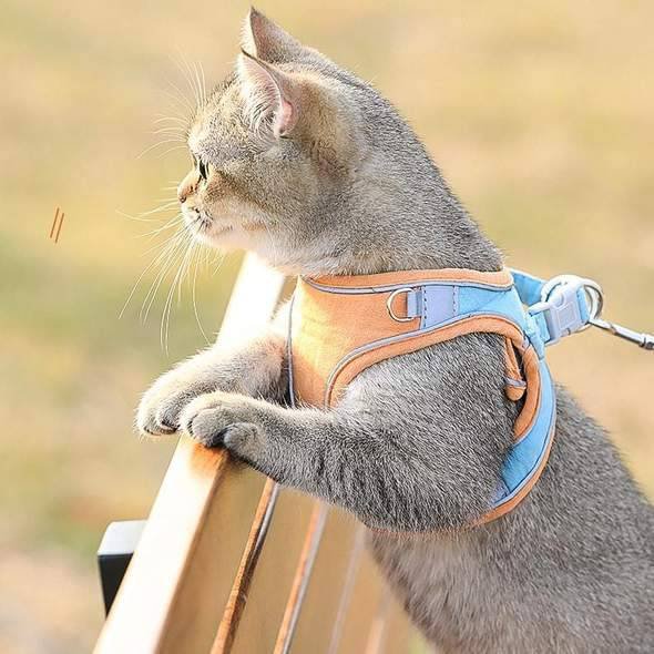 Cat Vest Harness and Leash Set - Escape Proof For Outdoor Walking