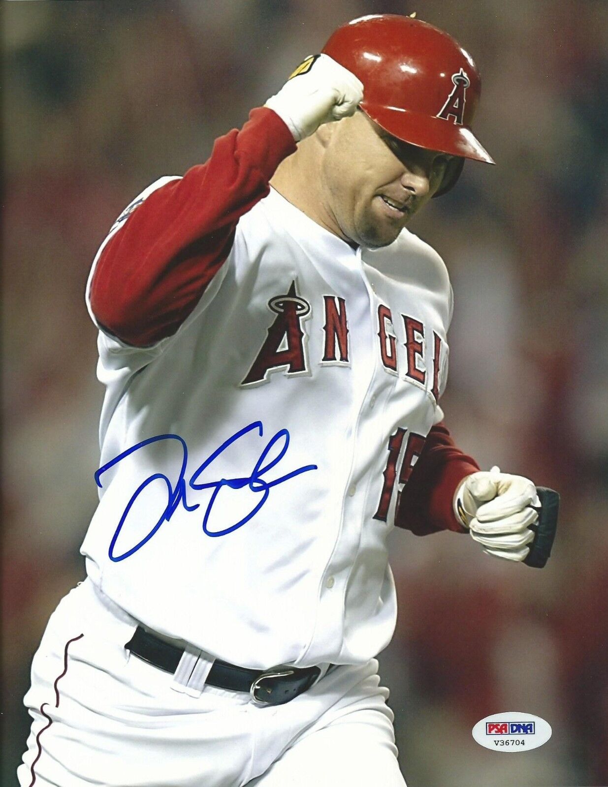 Tim Salmon Signed Angels 8x10 Photo Poster painting PSA/DNA COA Picture 2002 World Series Auto 1