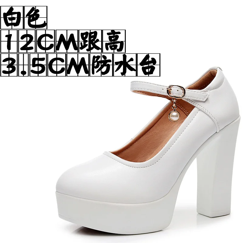 Breakj Breakj 6Cm Silver Heeled Show Shoes Thick-Singing Leather Shoes Thick-Soled Model Single-Shoe Large-Size Working Shoes