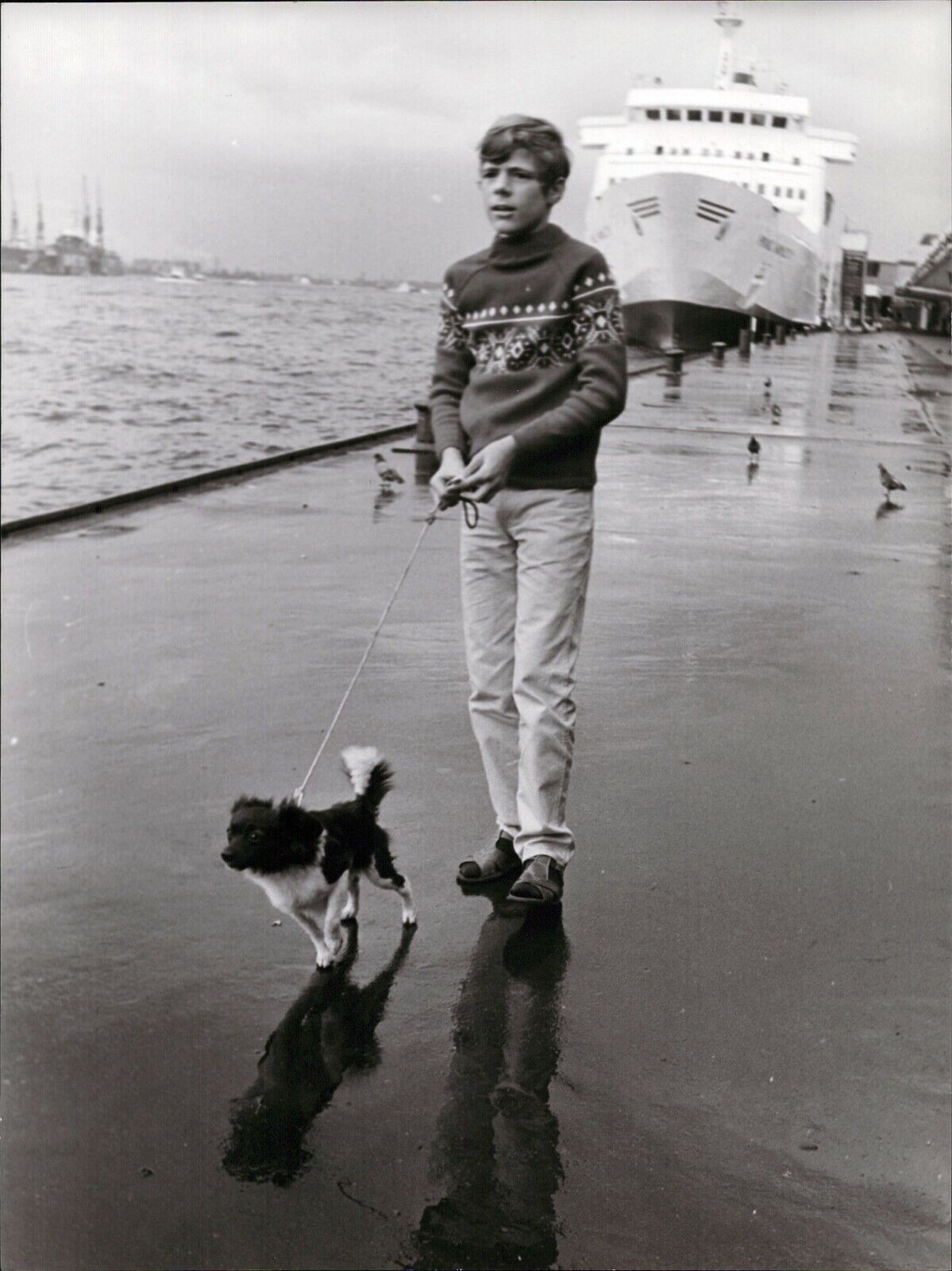 Heintje With Dog - Vintage Press Photo Poster painting Norbert Unfried (U-6812