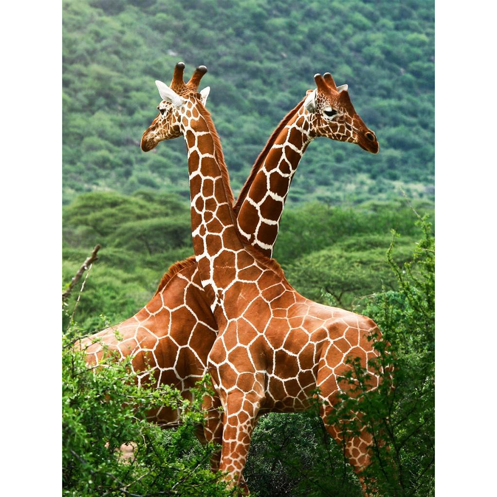 

30*40CM Round Drill Diamond Painting-Giraffe Life, 501 Original