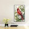 (40*60cm)Cardinal - Full Round Drill Diamond Painting