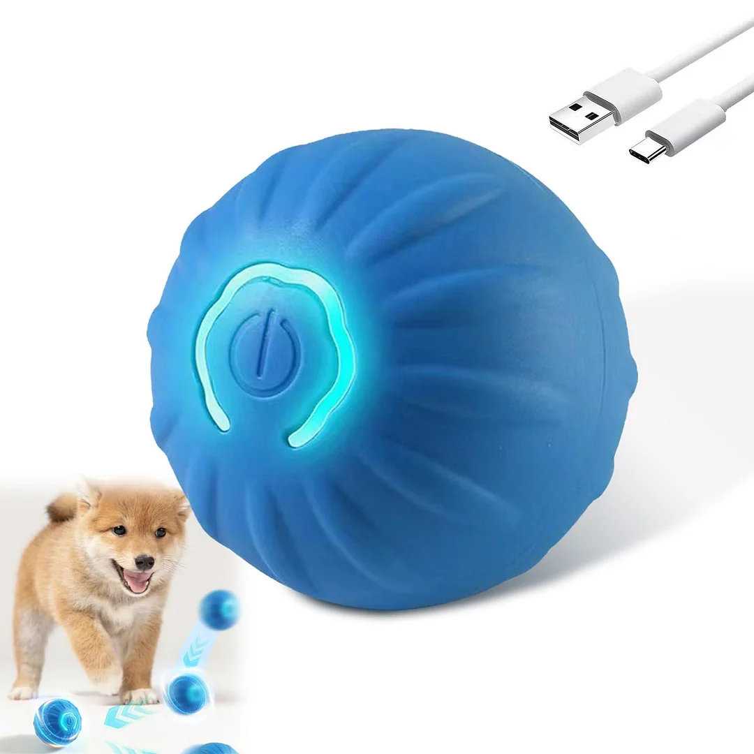 Shaky Ball Toy for Dogs