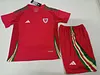 2024 Kids Size Wales Home Football Shirt 1:1 Thai Quality