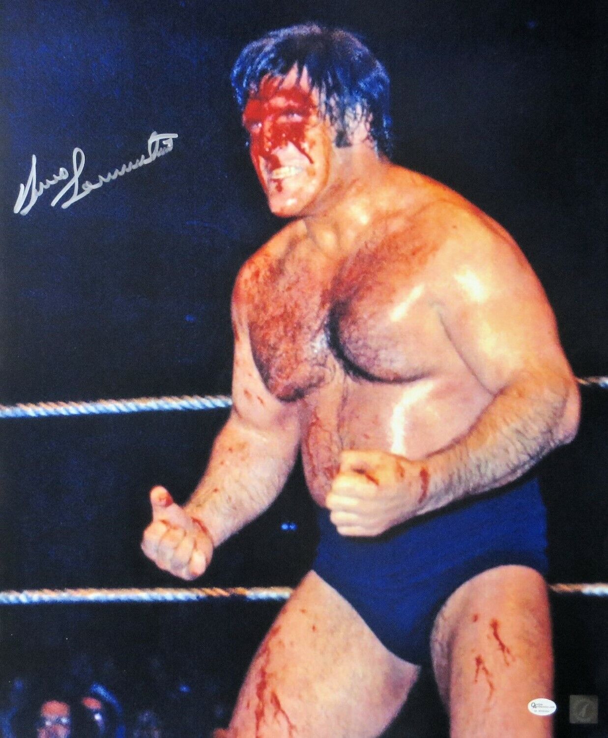 Bruno Sammartino Signed Autographed 16X20 Photo Poster painting Vintage Bloody Face OA