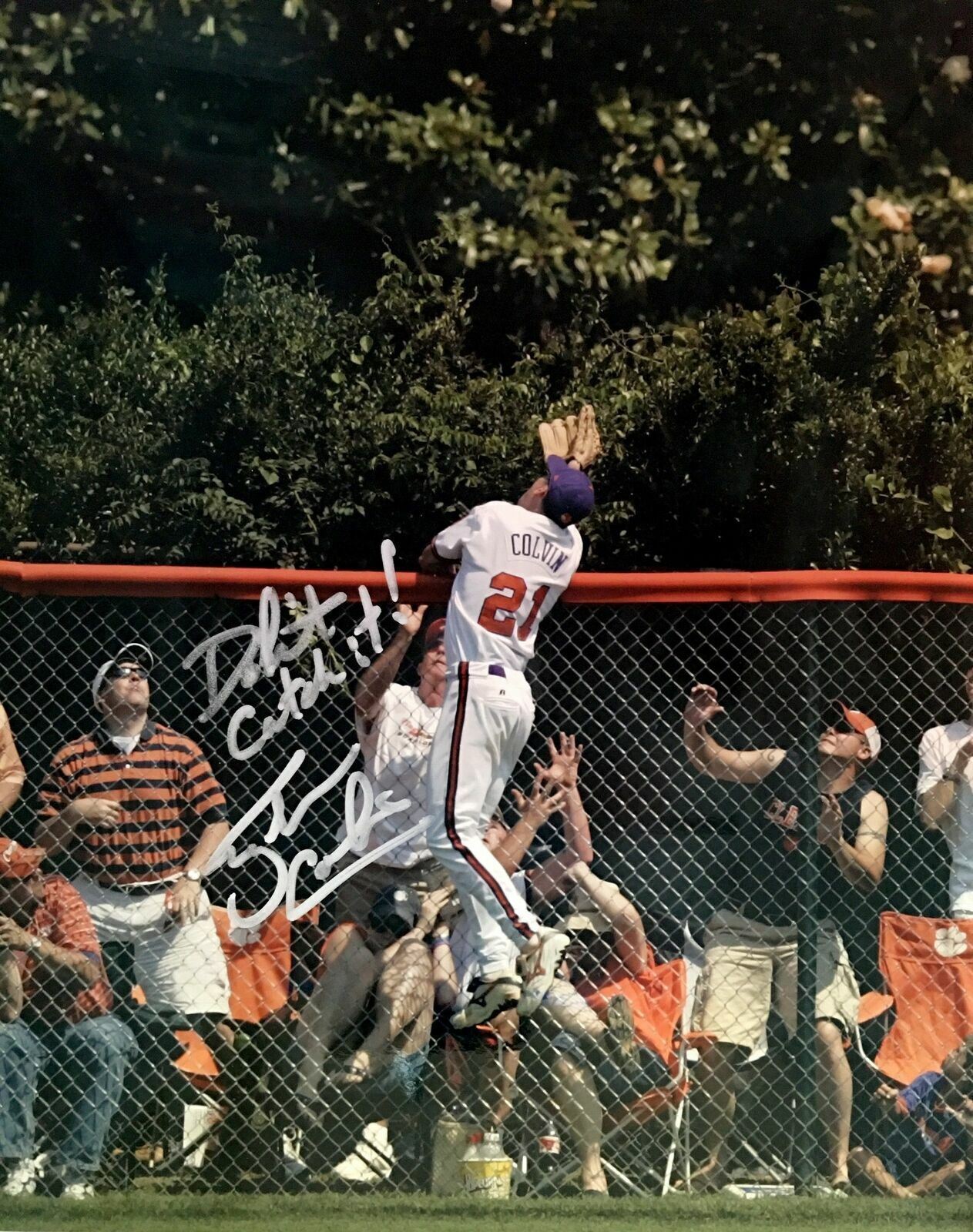 Tyler Colvin Signed Chicago Cubs 8x10 Photo Poster painting  SHIP Autograph Auto