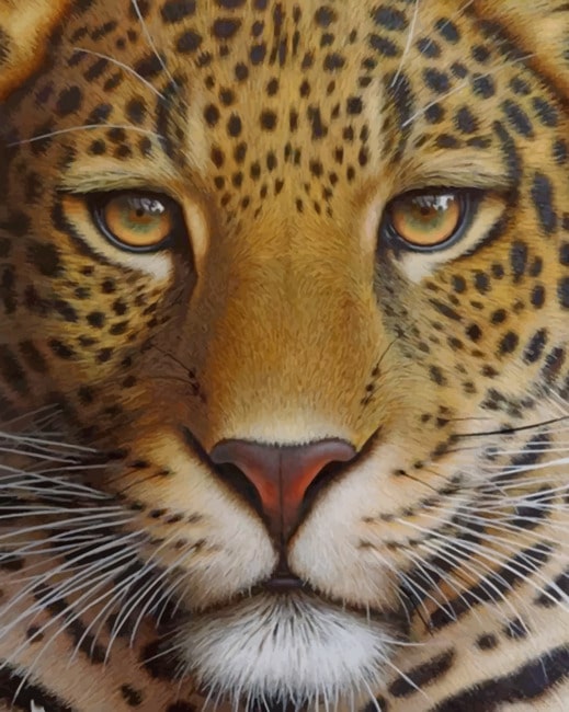 

Aesthetic Tiger – Paint By Numbers - 40*50CM, 501 Original