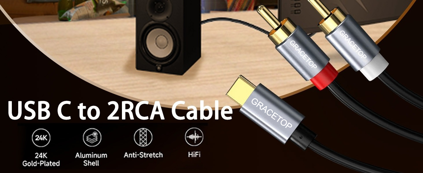 2RCA Jack USB-C Audio Cable