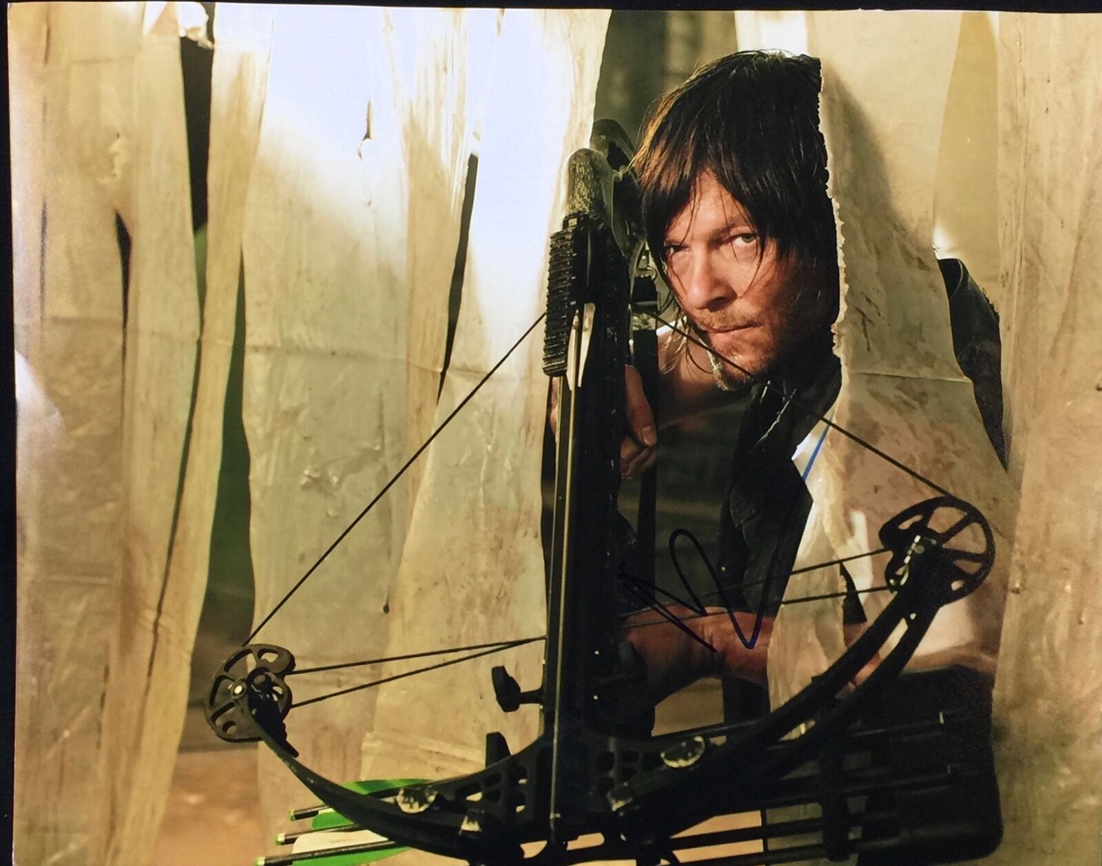 Norman Reedus Daryl JSA The Walking Dead Autograph Signed Photo Poster painting