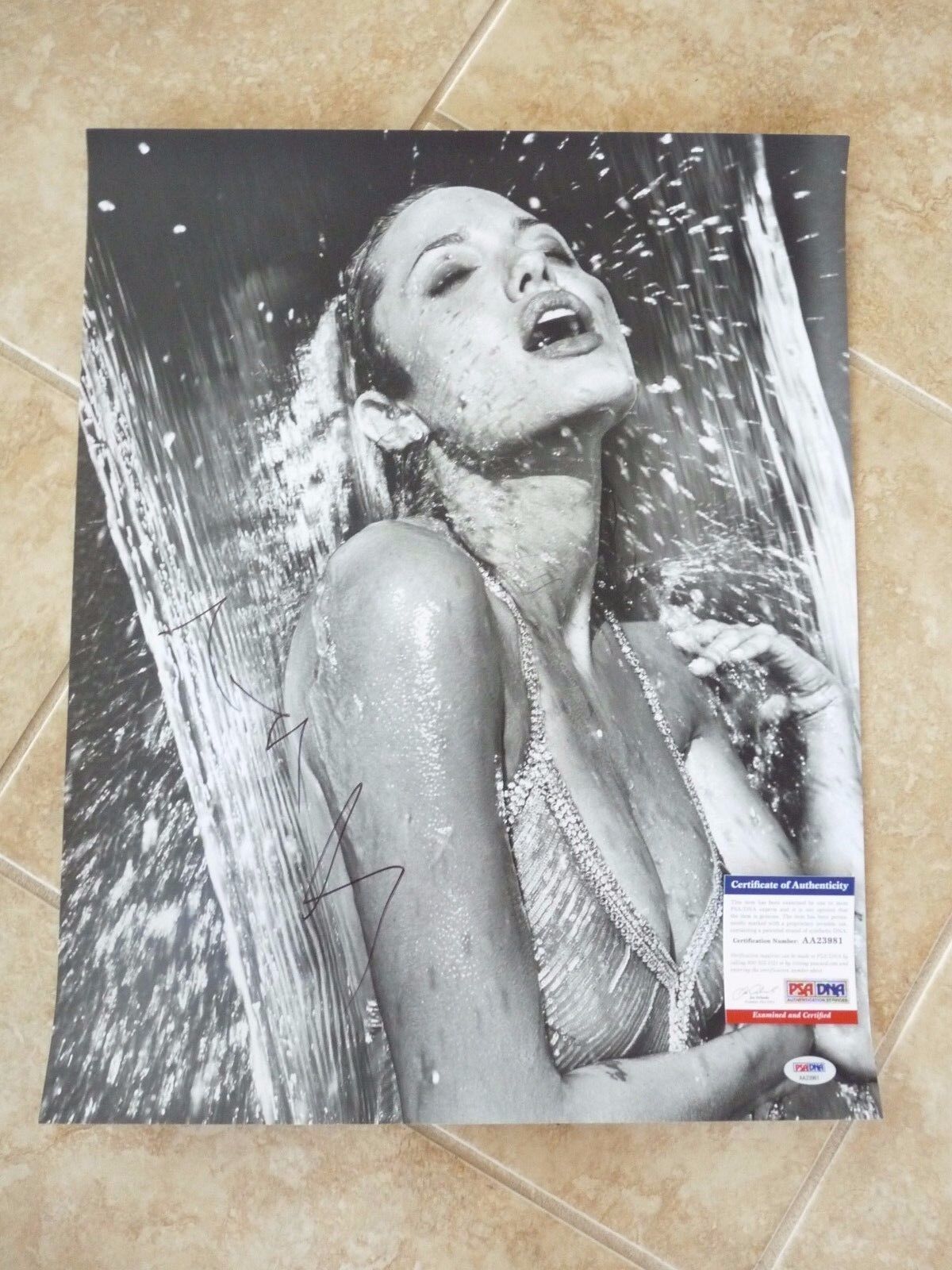 Angelina Jolie SEXY Signed Autographed WET B&W 16x20 Photo Poster painting PSA Certified