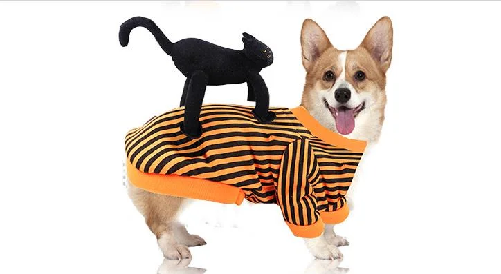Black Cat Standing Dog Clothes Halloween Outfits for Dogs-elleschic