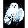 Diamond Painting -DIY Round Drill White Owl