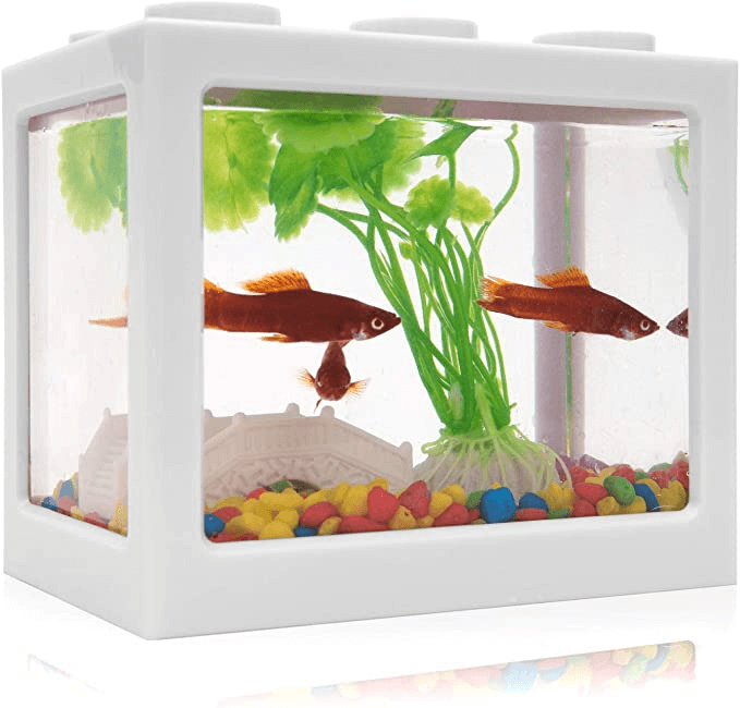 Miniature Aquarium Transparent Fish Tank