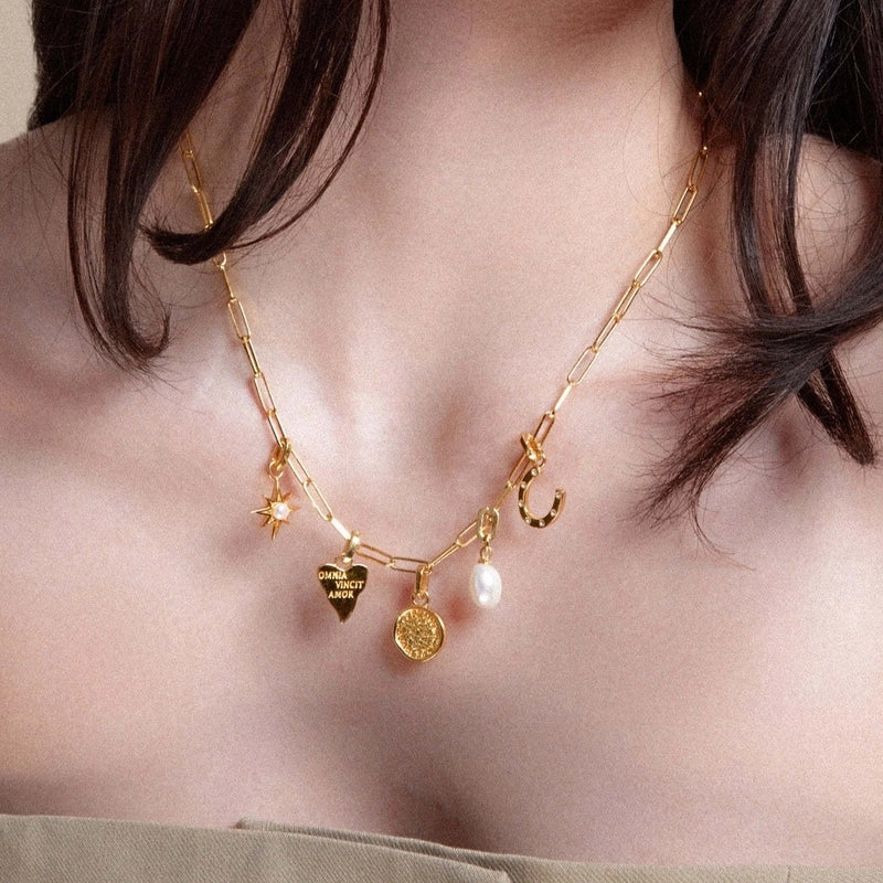 1 Piece 201 Stainless Steel 304 Stainless Steel 18K Gold Plated Pearl Coin Multi Charms Necklace
