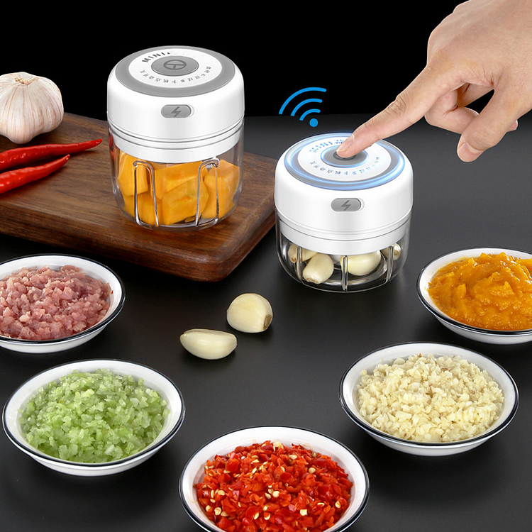 Electric Mini Food Chopper | 168DEAL