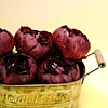 10 Pack | 3" Burgundy Artificial Silk DIY Craft Peony Flower Heads