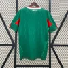 Retro 2010 Mexico Soccer Jersey Home